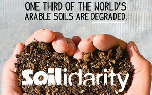 Soilidarity on World Soil Day
