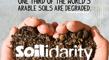 Soilidarity on World Soil Day