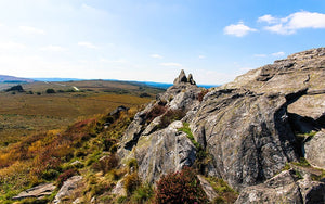 dartmoor national park walk routes