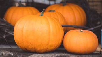 Sustainable Halloween: Making the Most of Your Pumpkin