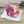 Load image into Gallery viewer, Lamb Shoulder Boned &amp; Rolled
